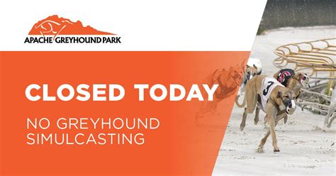 apache greyhound park sportsbook  With multiple pari-mutuel sports betting options, you can relax and bet all day long